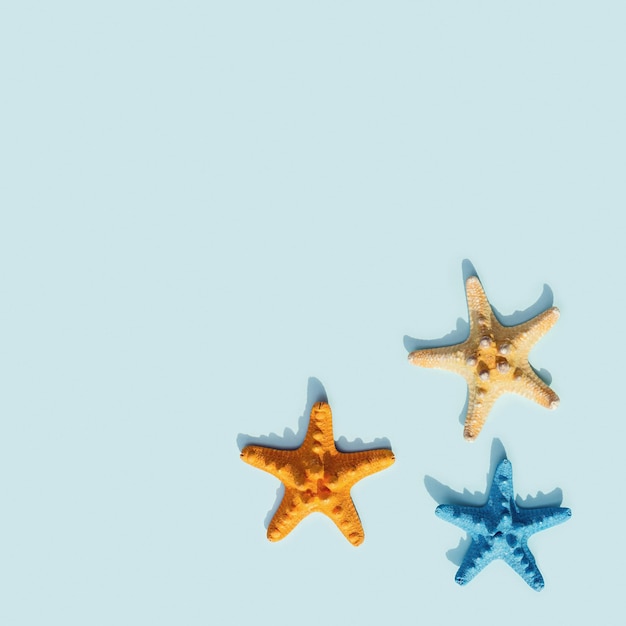 Colorful cute starfish pattern on blue background Nautical or marine theme of sea life summer style