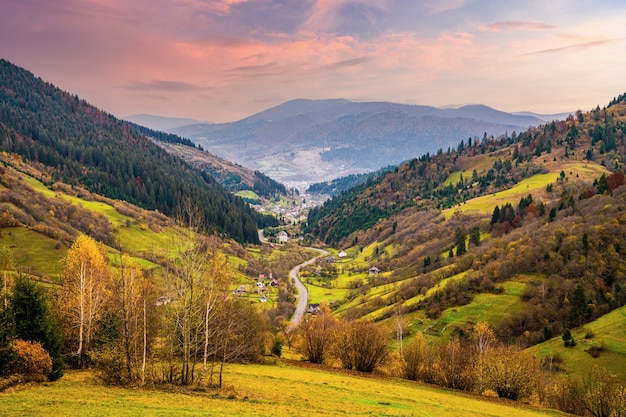 Colorful dense forests in the warm green mountains of the Carpathians covered with thick gray fog