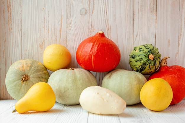 Photo colorful different pumpkins in front of wooden wall rustic style