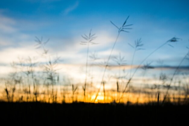 Foto cielo drammatico colorato con nuvole al tramonto