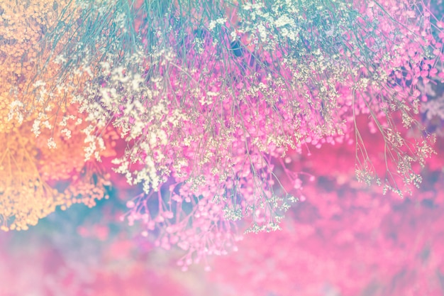 Colorful dry flowers at the roof as a decoration.Selective focus bright colored flower background.