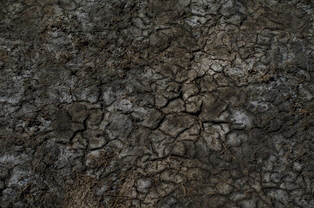 Colorful dry saline soil surface with salt stains and deep black cracks