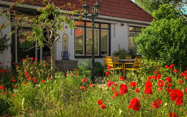 Colorful dutch house on a clear and bright day