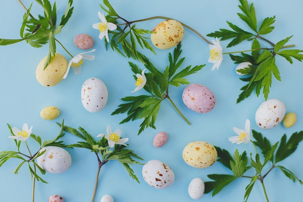 Colorful Easter chocolate eggs and spring flowers flat lay on blue background