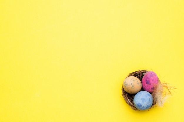 Colorful easter egg in the nest on yellow background with copy space. Easter background. Minimalism