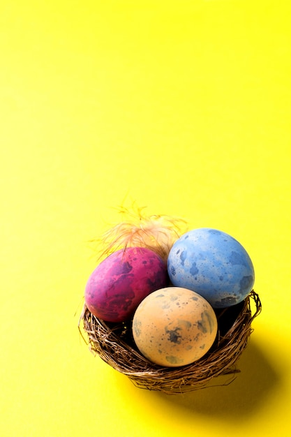 Colorful easter egg in the nest on yellow background with copy space. Easter background. Minimalism