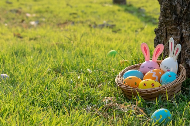 The colorful of Easter eggs in basket hidden on the grass behind a tree trunk