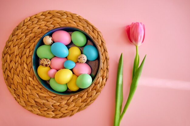 Colorful easter eggs in bowl with a tulip, pink table, top view.