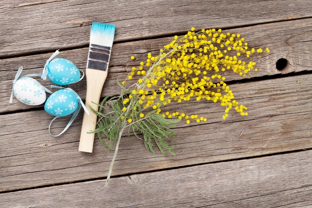 Colorful easter eggs brush and mimosa flower