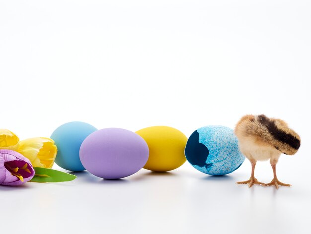 Colorful Easter eggs and chicks.