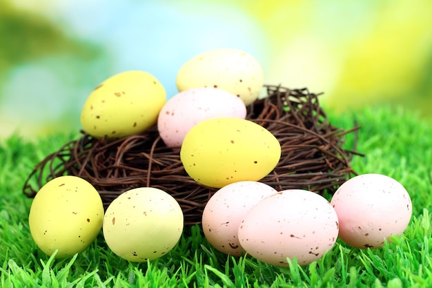 Colorful easter eggs on grass