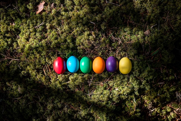 Colorful easter eggs on natural green moss background in forest