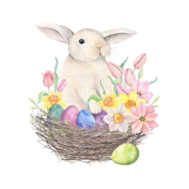 Colorful Easter Eggs in nest. Spring watercolor illustration. Floral Colored Easter eggs.