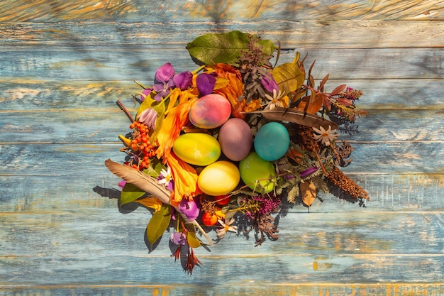 Colorful easter eggs in plants petals and bird feathers over rustic blue wood background