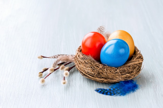 Colorful Easter eggs in small nest, willow branch. Copy space