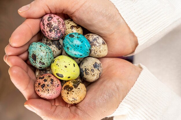 Colorful easter eggs in women39s hands quail eggs