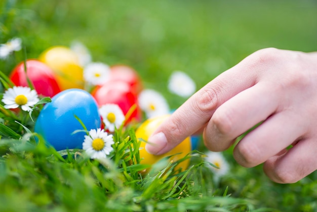 Colorful Easter eggs