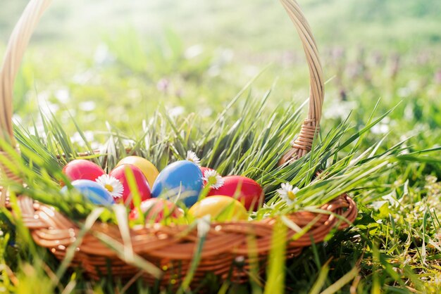 Colorful easter eggs