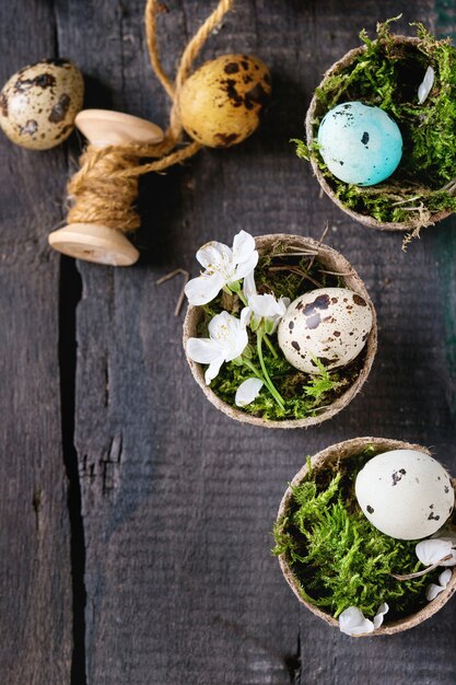 Colorful Easter quail eggs