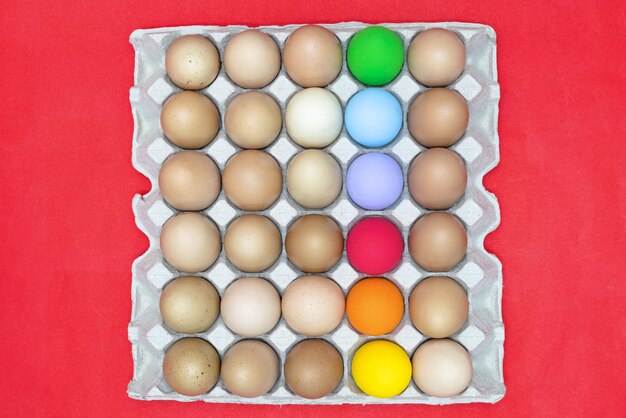 Photo colorful eggs in the carton boxtop view