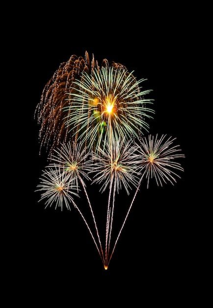 Fuochi d'artificio esplosi colorati isolati su sfondo nero