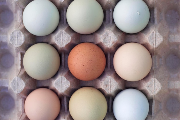 colorful farm eggs in carton box with overhead close up