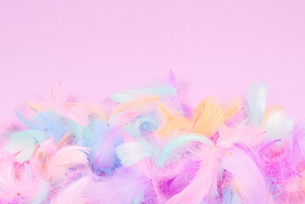 Colorful feather background