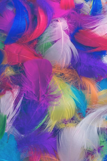 Colorful feather background