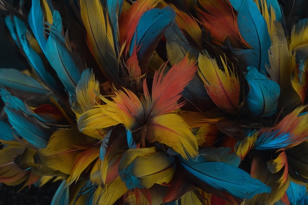 A colorful feather is displayed in a dark room.
