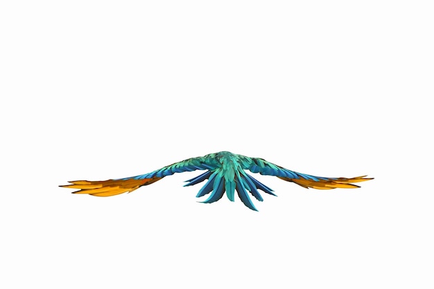 Photo colorful feathers on the back of macaw parrot isolated on white background