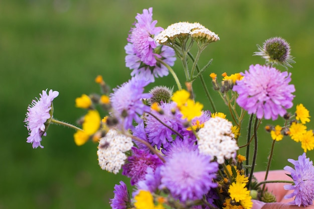 写真 カラフルな野の花の花束