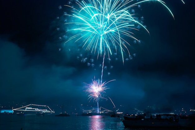 Colorful fireworks on the black sky