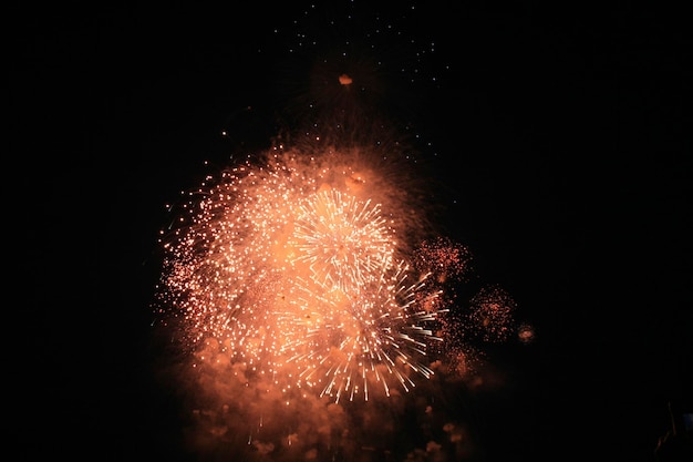 Colorful fireworks on dark sky