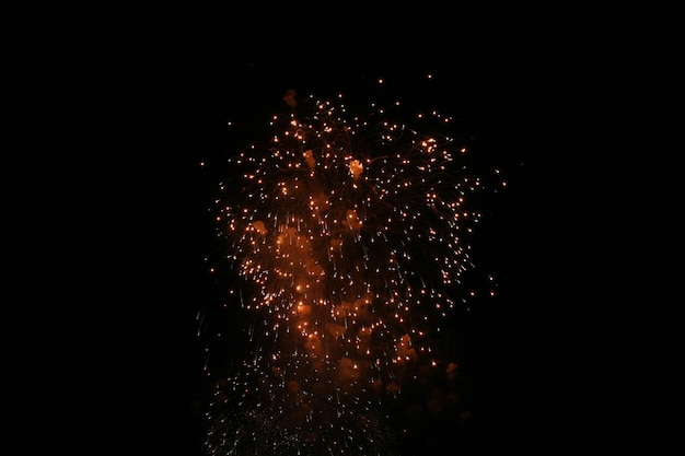 Colorful fireworks on dark sky