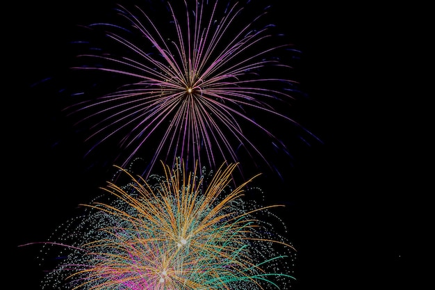 Colorful fireworks exploded in the night sky