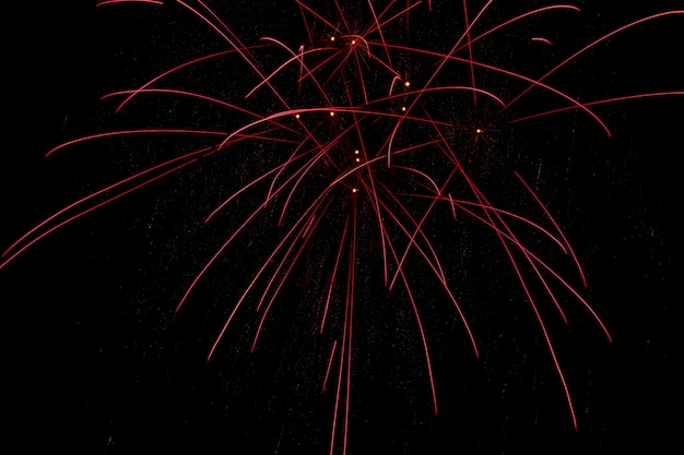 Colorful fireworks exploded in the night sky