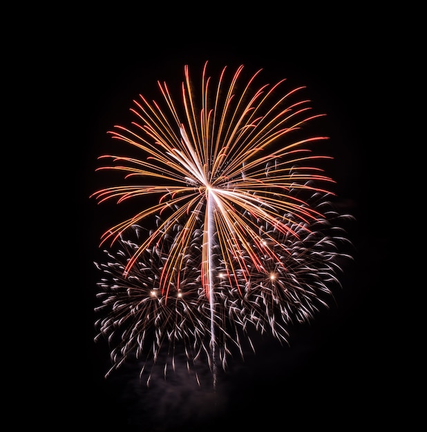 Fuochi d'artificio colorati che esplodono nel cielo notturno