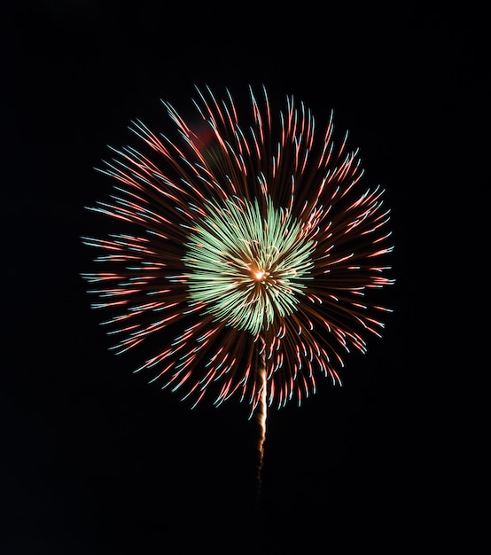 Colorful fireworks isolated