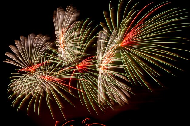 夜空を背景にカラフルな花火。