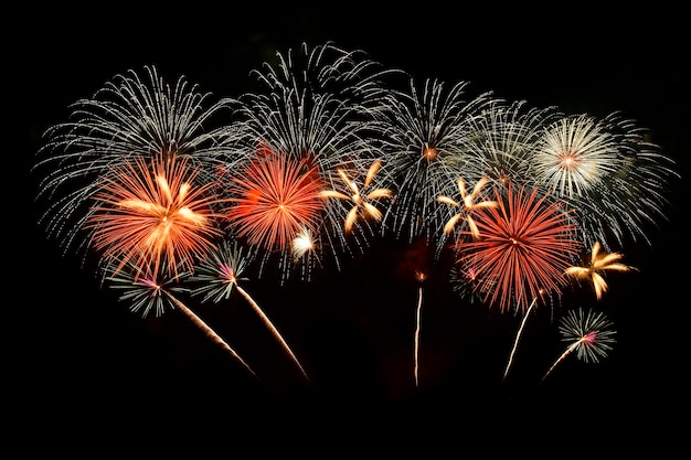 Fuochi d'artificio colorati nel cielo notturno