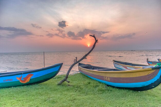 Colorful fishing boats on the beach at sunset in sri lanka