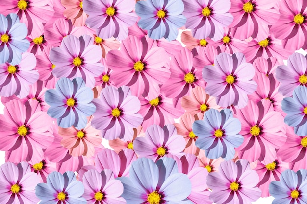 A colorful flower background with a pink and blue flower pattern