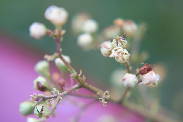 カラフルな花が咲く背景