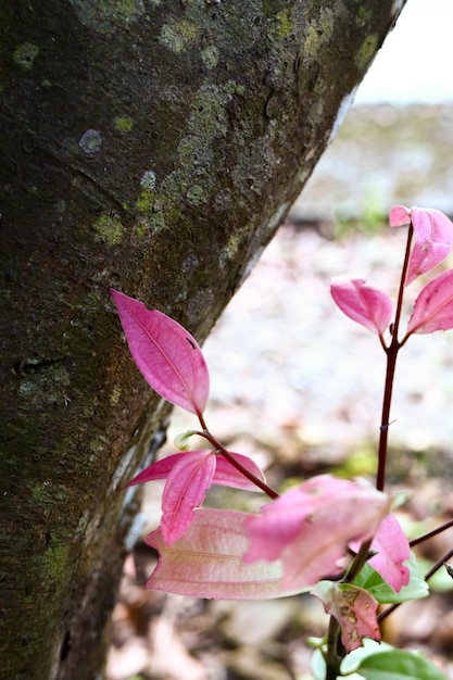 カラフルな花が咲く背景