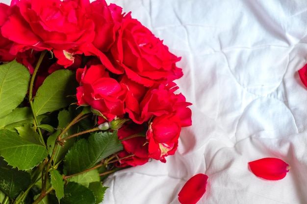 Colorful flower bouquet from red roses isolated on white background Closeup