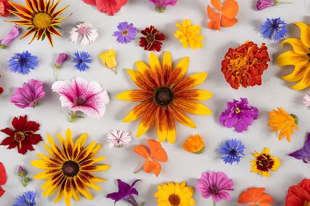 カラフルな花柄。灰色の背景に多色の自然の花。デザインのテンプレート上面図フラットレイ。