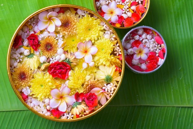 Colorful flower in water bowls and pipe gun 