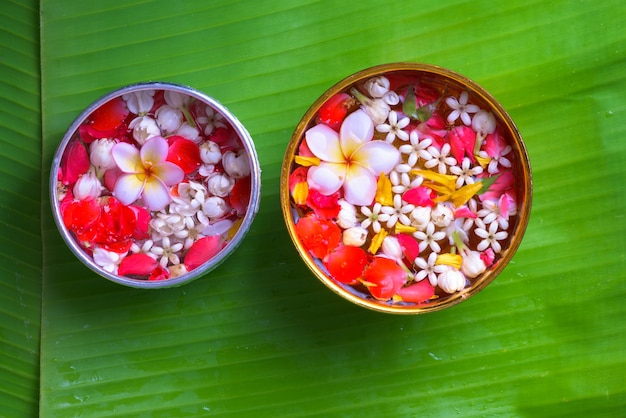 Colorful flower in water bowls and pipe gun