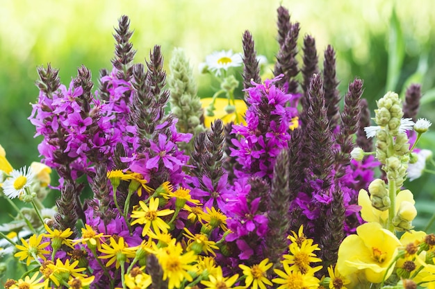 Colorful flowering herb meadow with purple and yellow blooming wildflowers art decoration floral design beautiful nature wallpaper summer landscape