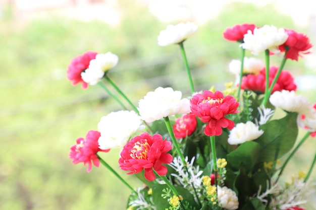 Colorful Flowers Background